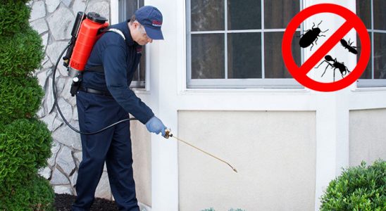Bahçe Dezenfeksiyon böcek ilaçlama ve haşere kontrolü — ilaclama-tr.com